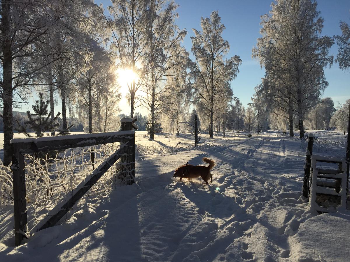 Gaestgivars Vandrarhem Och B&B Järvsö 외부 사진